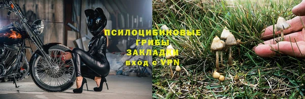 тгк Мегион