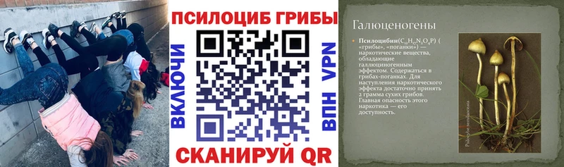 Галлюциногенные грибы Cubensis  Новая Усмань 