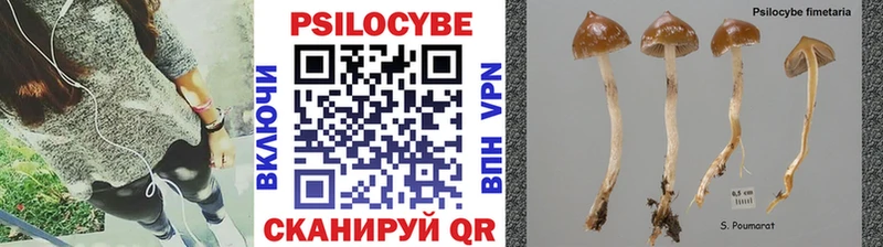 Галлюциногенные грибы MAGIC MUSHROOMS Новая Усмань